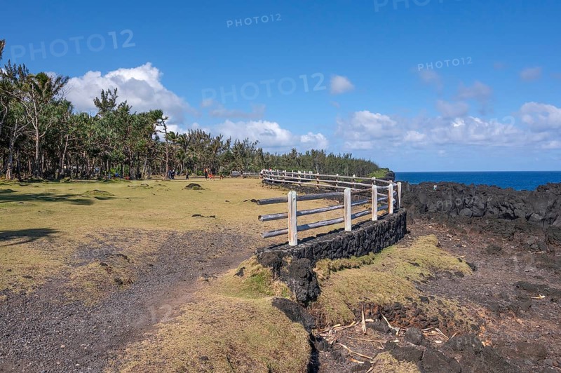 A rustic wooden barrier on a black lava foundation borders the viewpoint at Cap Mechant, where the Indian Ocean meets the lava coast, while a strip of green grass and a border of tropical trees (filaos) frame the scene under a blue sky with white clouds, Cap Mechant, South Coast, La Reunion, France