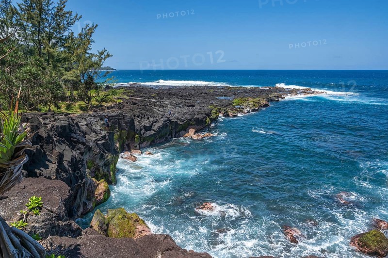 The black lava coast near the Marine de Vincendo offers a wide view of the deep blue Indian Ocean, whose white surf washes around the rugged volcanic rock, while tropical trees and green plants in the foreground shape the steep cliffs and wild nature of the south coast, Marine de Vincendo, South Coast, La Reunion, France