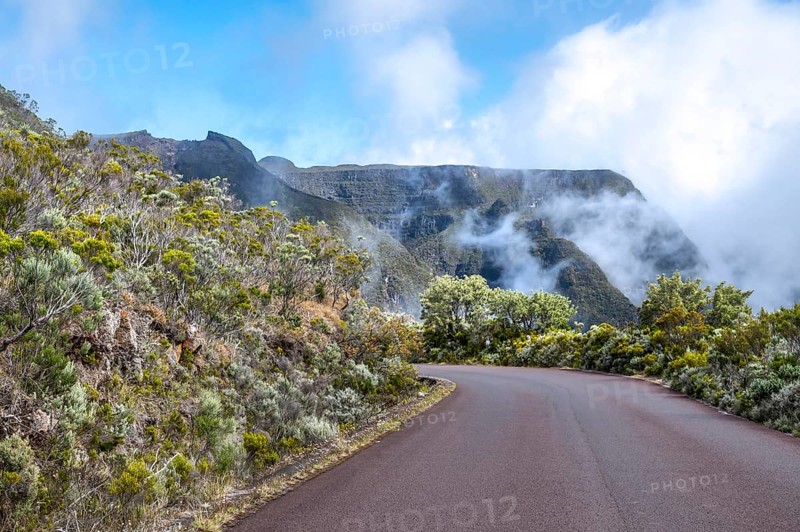 The curvy Route du Volcan snakes downhill through the contrasting landscape, with silvery-green and gray highland bushes (maquis from Branle) dominating the side of the road and the view of the furrowed, fog-shrouded Rempart rock faces of the caldera, Route du Volcan, Highlands, La Reunion, France