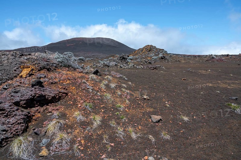 The barren volcanic landscape on the Route du Volcan shows the dark lava soil of the Plaine des Sables, interspersed with rust-red rocks, sparse grasses and silvery highland bushes (Branle blanc) in the foreground, while a large, black-brown volcanic cone dominates the horizon under a blue sky, Plaine des Sables, Highlands, La Reunion, France