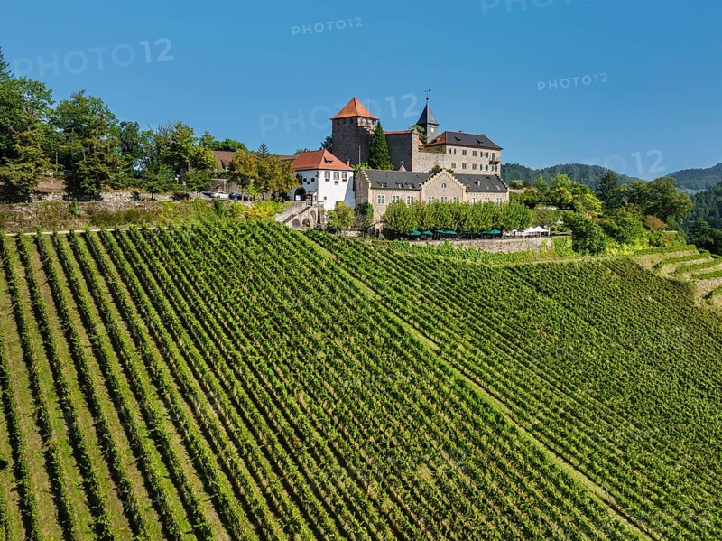 Eberstein Castle, Murgtal, Black Forest, Baden-Württemberg, Germany, Obertsrot, Gernsbach, Schwarzwal, Baden-Württemberg, Germany