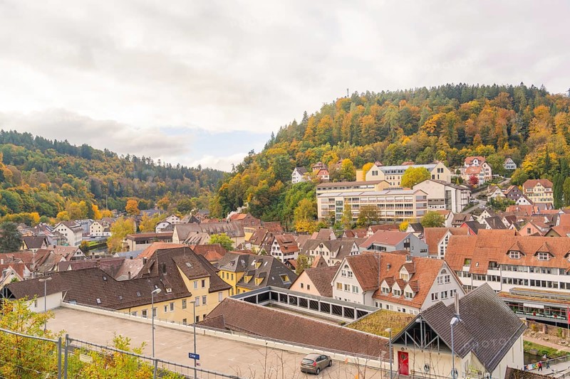 Historic town with half-timbered houses and autumn trees under cloudy sky, Calw, Black Forest, Germany