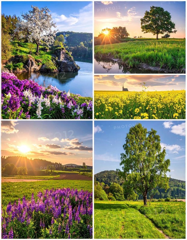 Collage of spring and summer landscapes, blooming flowers, green meadows and trees, hilly landscape with mountains, blue cloudy sky with sunrise or sunset, wallpaper illustration for banner or template background, AI generated