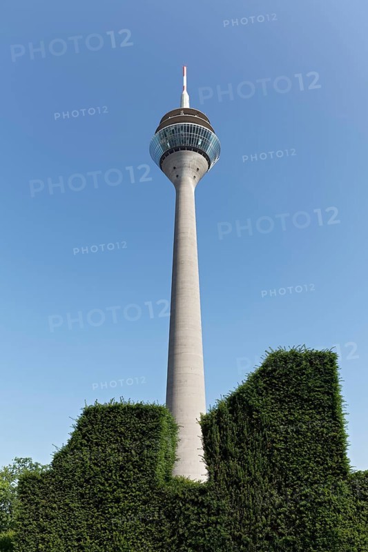 Rheinturm, Fernsehturm, hedge with geometric topiary, Düsseldorf, North Rhine-Westphalia, Germany