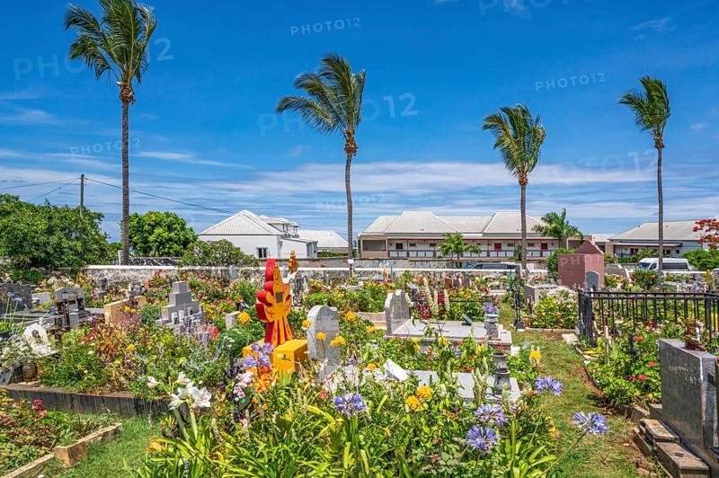 The flowery, multi-religious cemetery of Saint-Gilles-les-Hauts, with colorful graves and a Hindu shrine in the foreground, is dominated by four tall palm trees, while in the background there are modern buildings under a blue sky, Saint-Gilles-les-Hauts, La Reunion, France