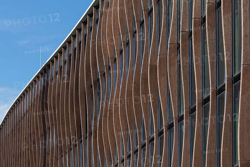 Modern wooden façade with larch pilasters, architecture firm caspar.schmitzmorkramer, Deiker Höfe, Düsseldorf, North Rhine-Westphalia, Germany