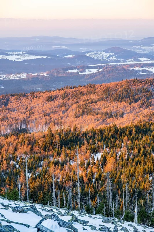 View from Mount Lusen over the hills of the bavarian forest at sunrise in winter, Bavaria, Germany