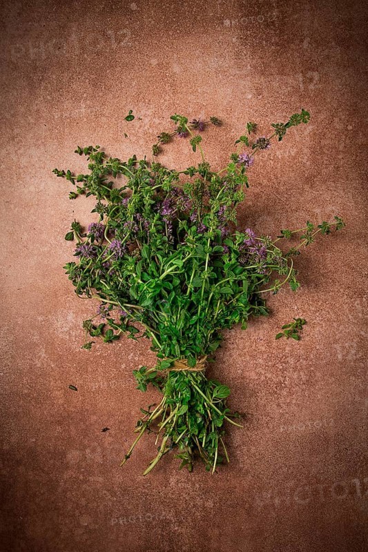Bouquet of herb ombalo, marsh mint, bunch of mint, top view, on a brown background, spice, Georgian cuisine