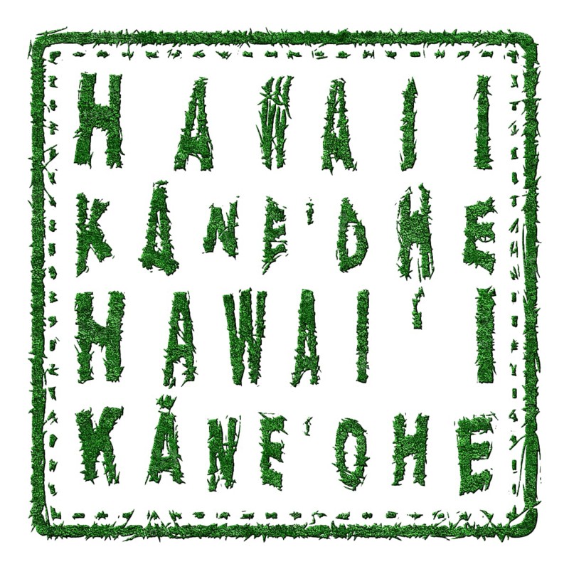 Hawaii Kaneohe Sustainable Tourism Concept