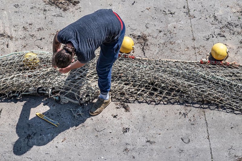 Seen from above, a fisherwoman in blue pants bends over a large fishing net spread out on the dry concrete for repair, the edges of which are marked with yellow floats and reflect the busy atmosphere of the harbor, Erquy, Saint-Brieuc Bay, Côtes-d'Armor, Brittany region, France