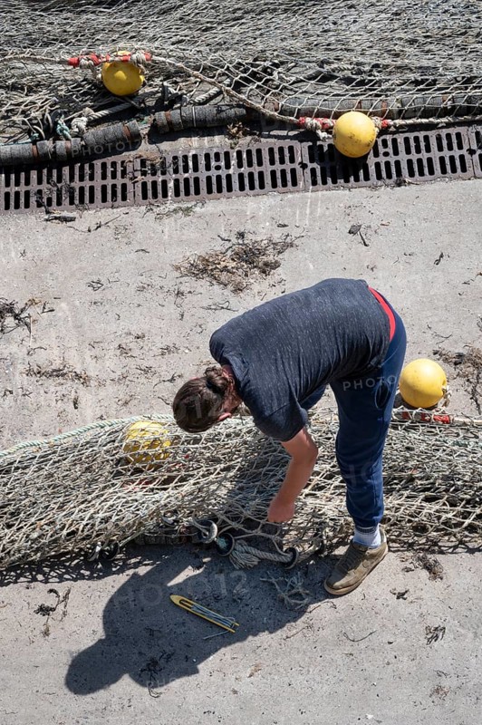 Seen from above, a fisherwoman in blue pants bends over a large fishing net spread out on the dry concrete for repair, the edges of which are marked with yellow floats and reflect the busy atmosphere of the harbor, Erquy, Saint-Brieuc Bay, Côtes-d'Armor, Brittany region, France