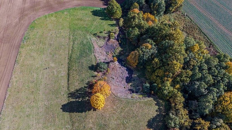 On a clear day, colorful trees stand on the edge of an extinct volcano. The autumn colors bring life to the landscape. A peaceful moment in nature. Železná hurka, Czech Republic