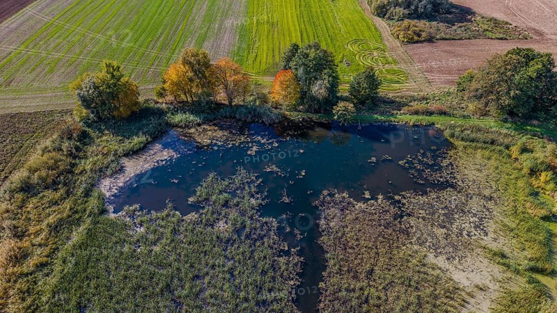 A quiet landscape in autumn shows a small pond surrounded by colorful trees and green meadows. The colors of the leaves are reflected in the water. Železná hurka, Czech Republic