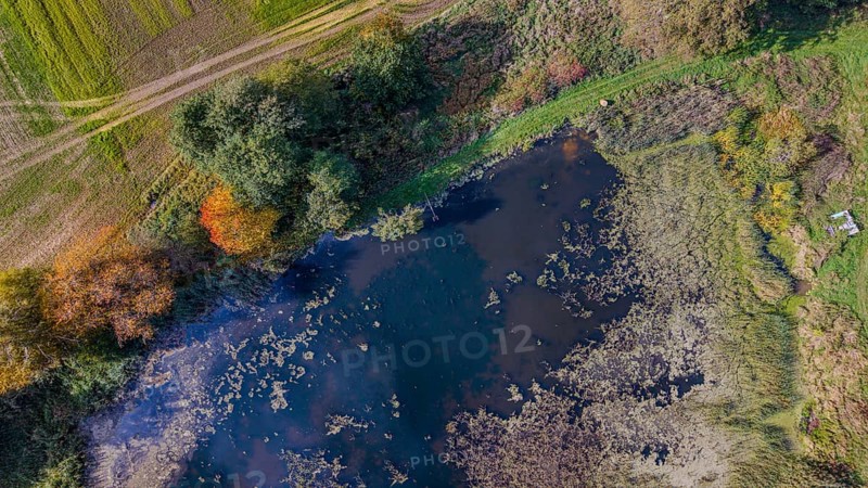 The pond is located in a rural area, surrounded by colorful foliage and green meadows. The sunlight is reflected in the water and creates a peaceful atmosphere. Železná hurka, Czech Republic
