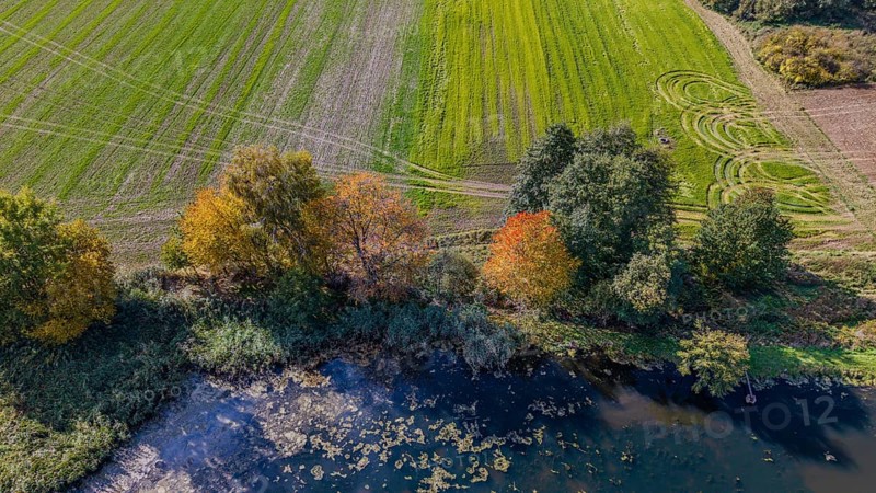 A delightful autumn scene features a green meadow, colorful trees, and a quiet pond. The colors of nature shine under clear skies and create a peaceful atmosphere. Železná hurka, Czech Republic