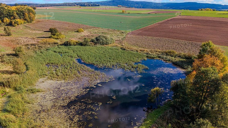 A quiet pond surrounded by meadows and trees. The colors of autumn are reflected while the sky is clear and blue. Železná hurka, Czech Republic