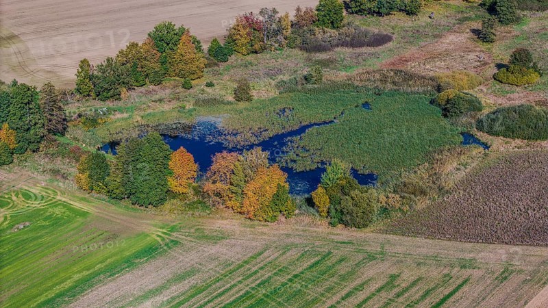 When the weather is clear, the picture shows an autumn landscape with a quiet pond. Colourful deciduous trees surround the pond, while adjacent fields shine in various shades of green. Železná hurka, Czech Republic