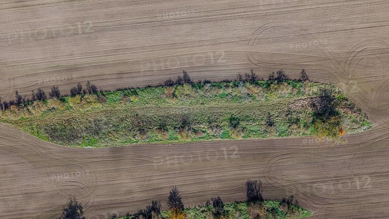 A narrow island with trees and shrubs stretches across a large, cultivated field. The sky is clear and the colors of the earth and plants are pleasant. Železná hurka, Czech Republic