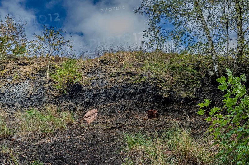 The outcrop shows layers of soil with gray soil and occasional plants. In the background, trees are visible on the ground, while clouds cover the sky. Železná hurka, Czech Republic