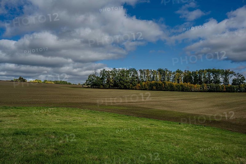 A vast landscape of sown fields stretches out under a partly cloudy sky. Trees in colorful autumn shades form the background. Železná hurka, Czech Republic