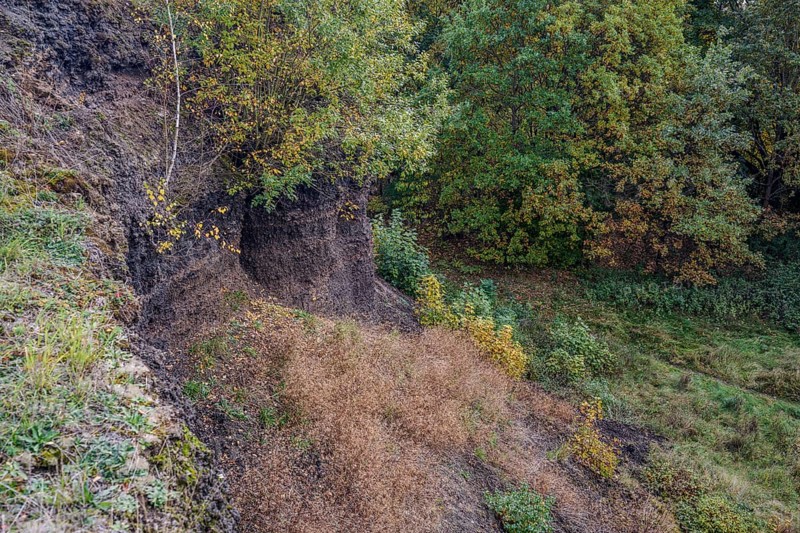 On a clear autumn day, the slope of an extinct volcano is covered with colorful trees and dry grass in a peaceful landscape. The light highlights the colors of nature. Železná hurka, Czech Republic