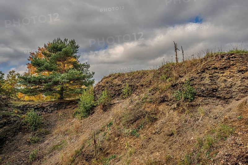 The rocky landscape of the extinct volcano shows a slope with green plants and a tree. The sky is cloudy and the colors suggest autumn. The scene conveys peace and naturalness. Železná hurka, Czech Republic