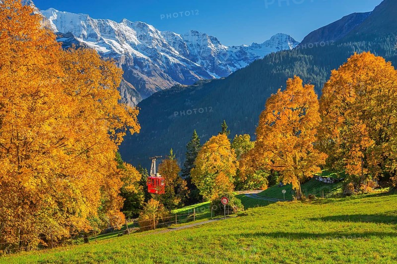 Autumn landscape with cable car to the hamlet of Sulwald, Isenfluh, Lauterbrunnental, Bernese Oberland, Canton of Bern, Switzerland