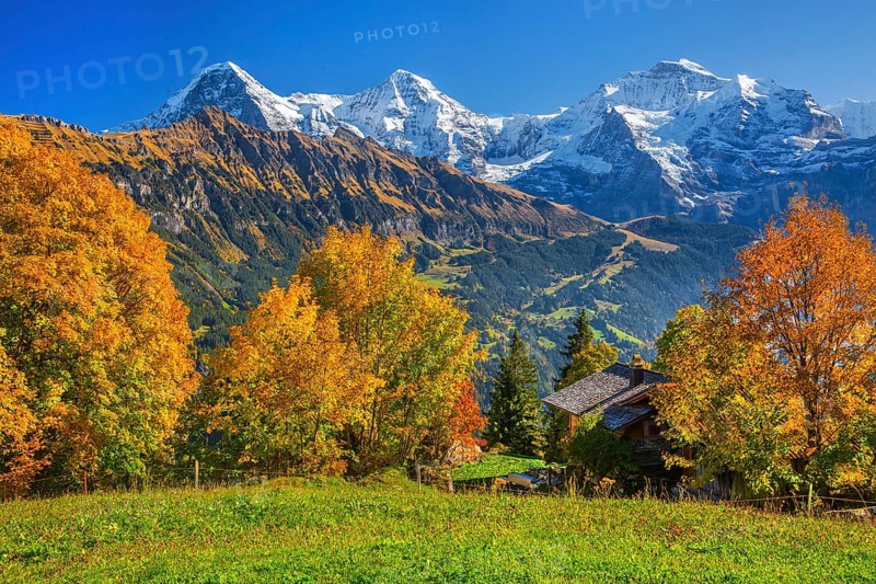 Autumn landscape in the hamlet of Sulwald with Eiger 3967m, Mönch 4110m and Jungfrau 4158m, Isenfluh, Lauterbrunnental, Bernese Oberland, Canton of Bern, Switzerland