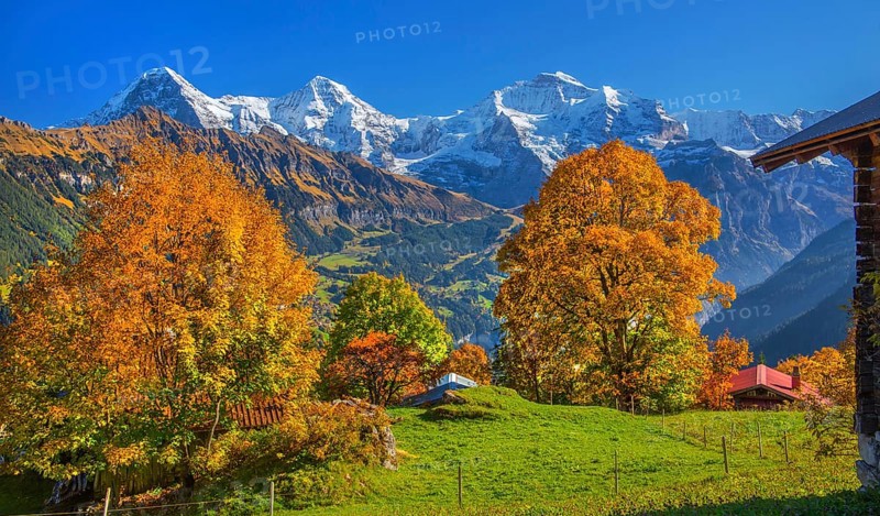Autumn landscape in the hamlet of Sulwald with views of Eiger 3967m, Mönch 4110m and Jungfrau 4158m, Isenfluh, Lauterbrunnental, Bernese Oberland, Canton of Bern, Switzerland
