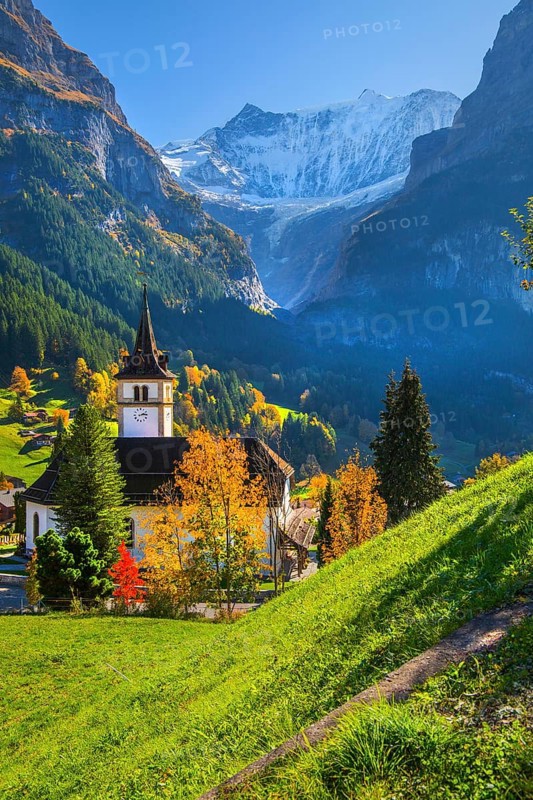 Village church in the town center with fieschörner 4049m in autumn, Grindelwald, Lütschinental, Bernese Oberland, Canton of Bern, Switzerland