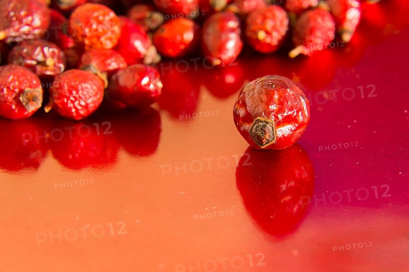 Dried hips of dog rose on red background Prague Czech republic