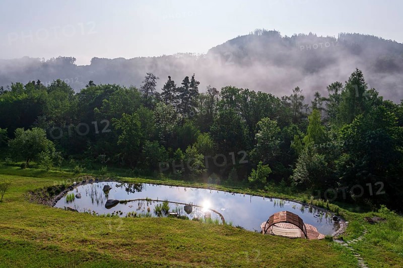 Pretty wooden pier at natural swimming pond or pool, NSP, purifying water without chemicals through biological filters and plants Krivoklat Czech republic