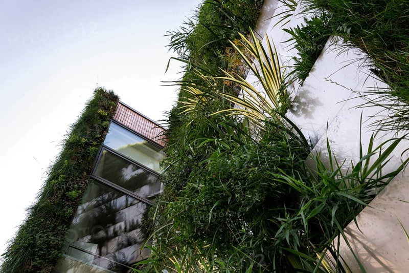 Green vertical living wall with root zone waste water treatment, exterior facade on modern building cooling with plants air conditioning Prague Czech republic
