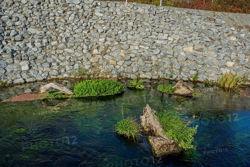 A clear river flows gently between stones. Green plants grow on submerged tree trunks. The sunlight shines on the water surface and reflects the colors. Landau an der Isar, Lower Bavaria
