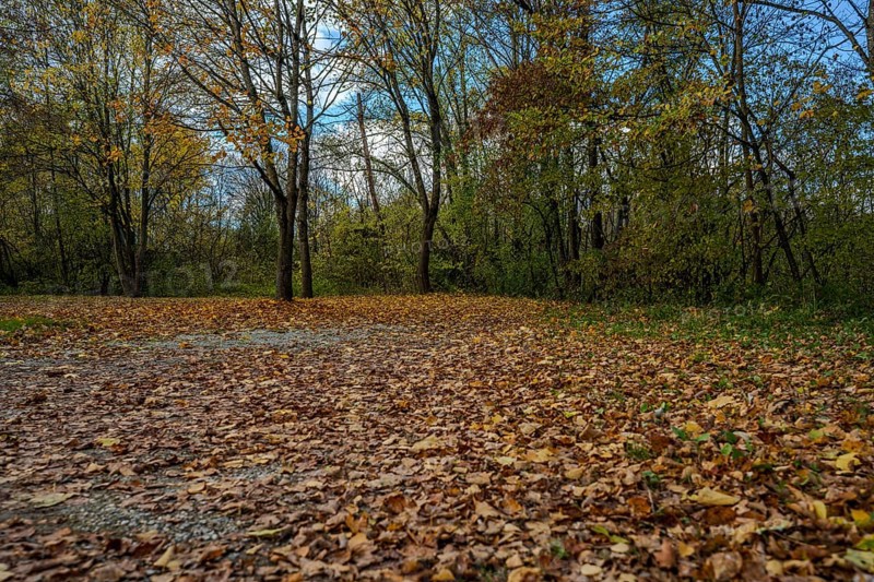 There are colorful autumn leaves on the ground, while the trees in the background show a peaceful landscape in a park. The colors radiate peace and beauty. Landau an der Isar, Lower Bavaria