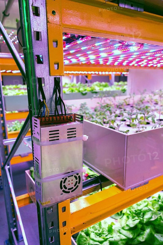 Electronics controling aquaponics system that combines fish aquaculture with hydroponics, cultivating plants in water under artificial lighting Prague Czech republic