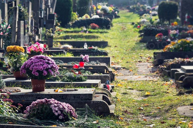Beautiful flower bunch on graves, autumn on cemetery, Prague, Czech Republic, sunny day, All souls day concept Prague, Czech republic