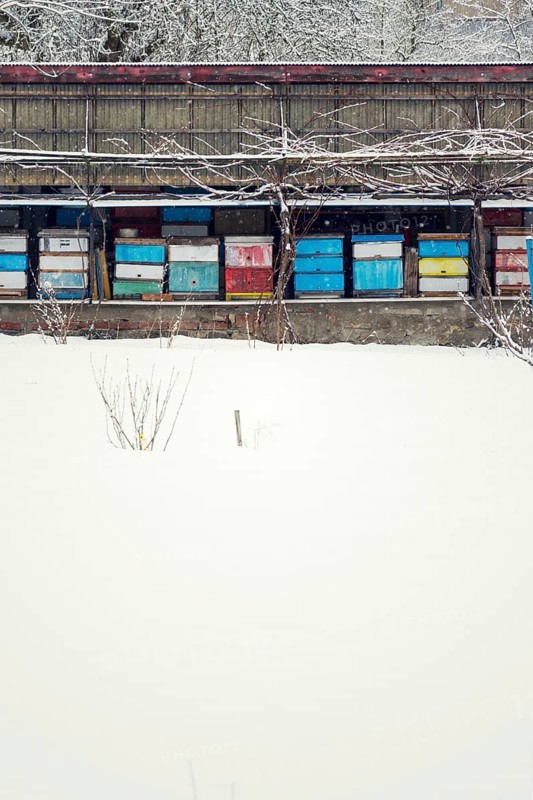 Vintage colorful wooden beehives on snowy winter freezing day Prague Czech republic