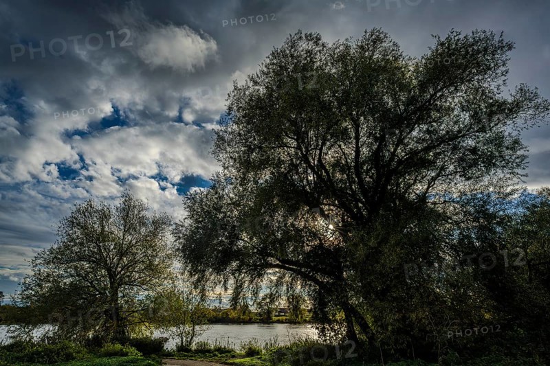 In the middle of the picture, there is a large tree on the riverbank. The sky is cloudy and the water reflects the clouds. The scene radiates peace and closeness to nature. Bogen, Lower Bavaria