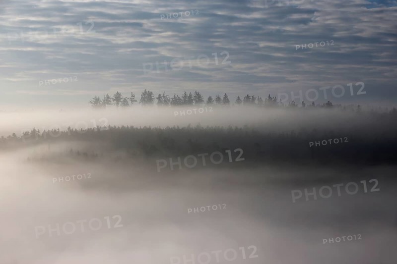 A forest floats in fog like a Fatamorgana in morning light between heaven and earth, autumn, Salzach Valley, Upper Bavaria, Bavaria, Germany