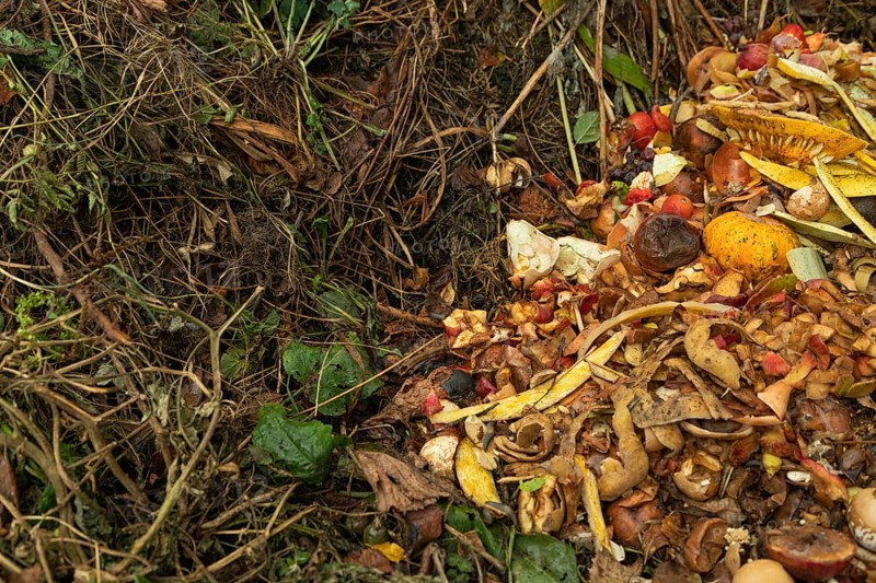 Compost pile made of organic food, leaves, vegetable and fruit Waste mix, Zero waste and Eco friendly Recycling concept