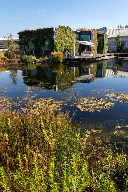 Vertical garden on facade with green living wall reflecting in natural biotope pool with self-cleaning water with with plants, natural air conditioning concept, sunny summer day Prague Czech republic