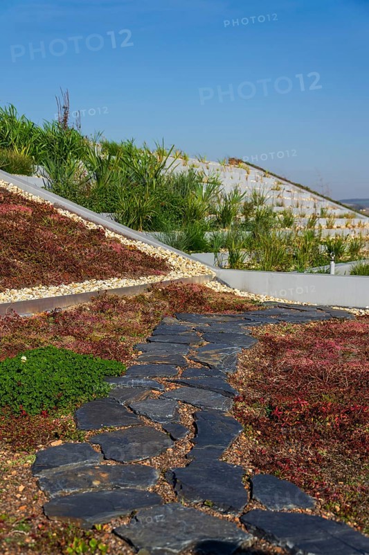 Extensive green ecological living sod roof with root zone waste water sewage treatment plant, sunny summer day Prague Czech republic