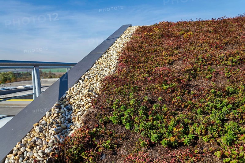 Extensive green ecological living sod roof with root zone waste water sewage treatment plant, sunny summer day Prague Czech republic