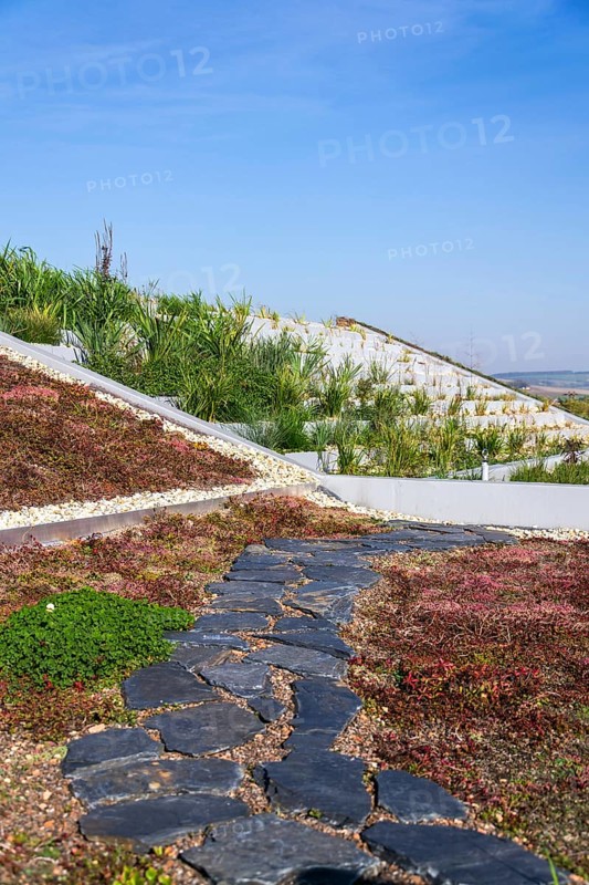 Root zone waste water sewage treatment plant on the extensive green ecological living sod roof Prague Czech republic
