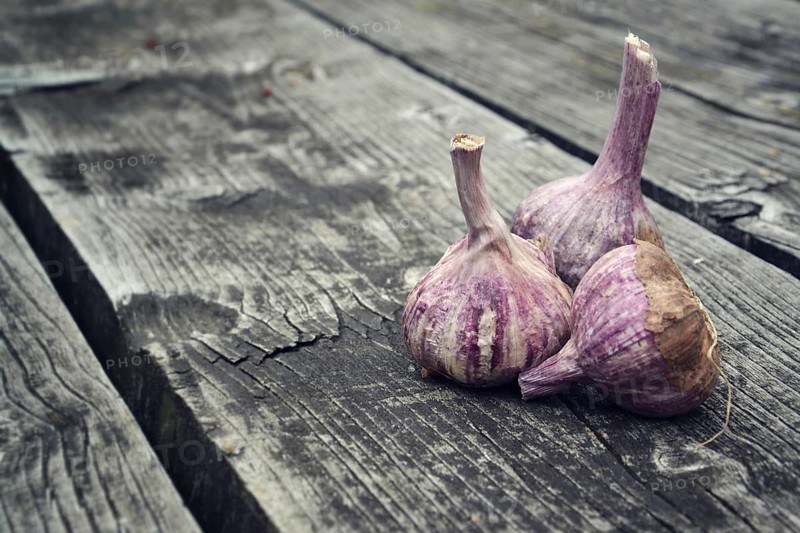 Violet Garlic cloves, Allium sativum stick on wooden table outdoors