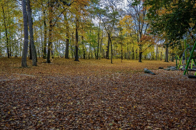 In a park, the trees are decorated with yellow and red leaves. The ground is covered with fallen leaves, while a playground nearby stands quietly. Straubing, Lower Bavaria