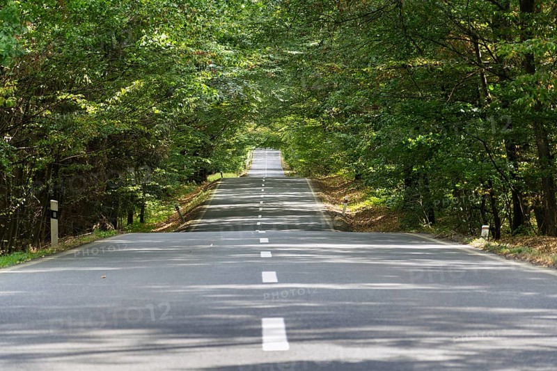 Empty road with broken line in the middle of deciduous forest, green trees alley, sunny summer day, carbon gas emissions or wanderlust concept Krivoklat Czech republic