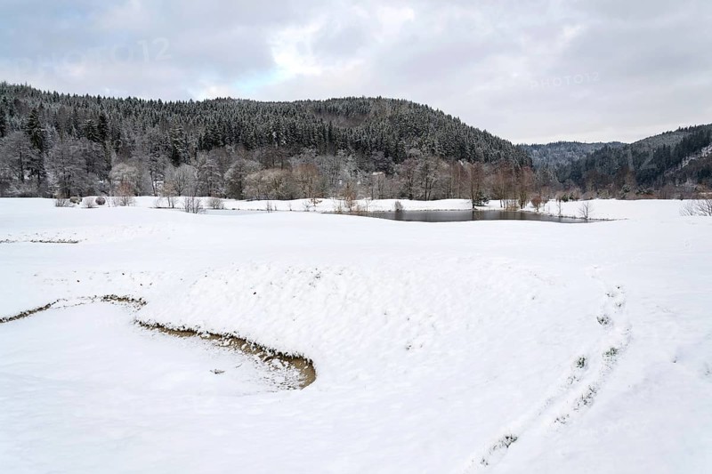 Snow on golf course in winter, forest background, copy space Karlovy Vary Czech republic