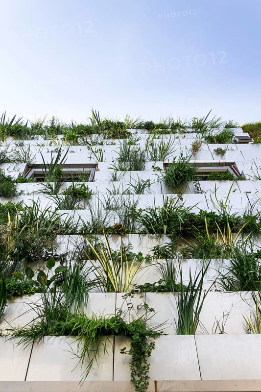 Window surrounded with root zone waste water treatment plant for greene vertical living wall, exterior facade Slavkov Czech republic
